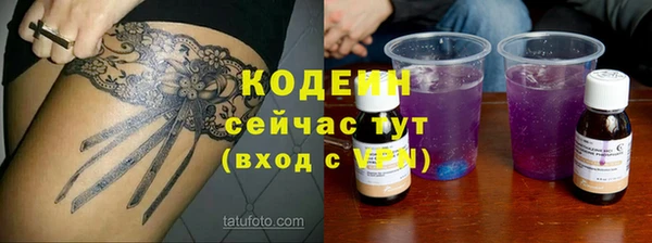 индика Беломорск