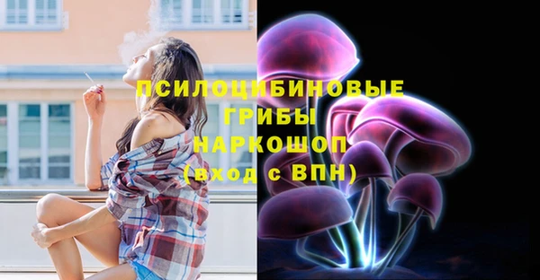 индика Беломорск