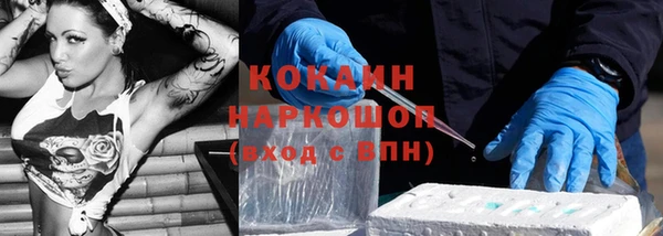 индика Беломорск