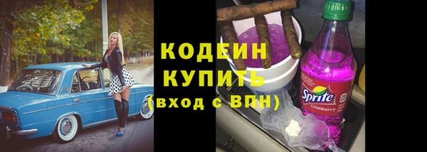 индика Беломорск