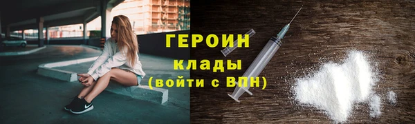 индика Беломорск