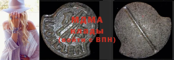 индика Беломорск