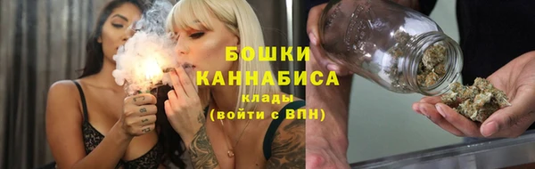 индика Беломорск