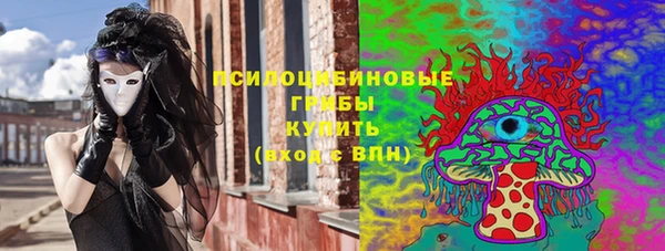 индика Беломорск