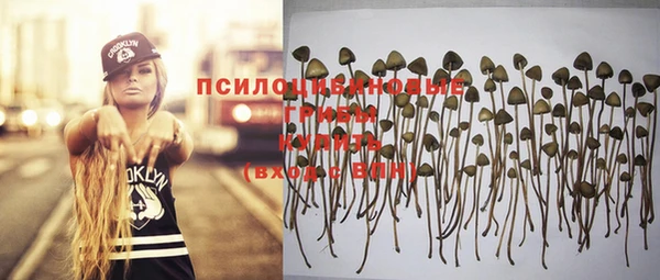 марки nbome Белокуриха