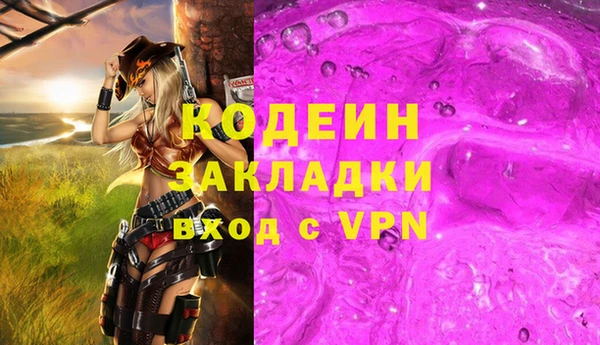 индика Беломорск