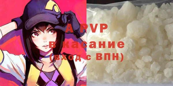 индика Беломорск