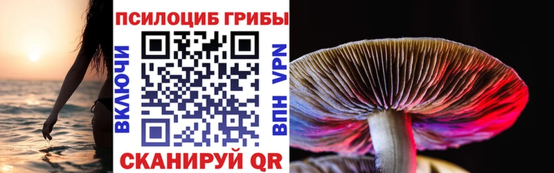 мега ссылка  Свободный  Псилоцибиновые грибы прущие грибы 